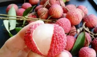 如何简单快速剥荔枝 怎么快速剥荔枝