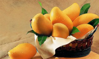 芒果还没熟就有黑斑出来是烂了吗（芒果没放熟反而起黑斑是什么原因）