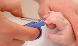 剪指甲应该剪到什么位置 剪指甲应该剪到什么位置图片