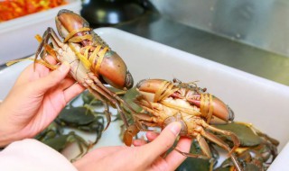 如何杀螃蟹和清洗（如何杀螃蟹和清洗图片）