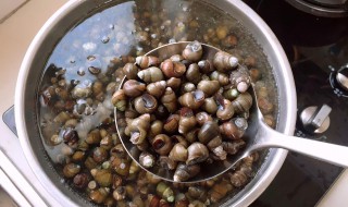 螺蛳如何清洗 螺蛳如何清洗才干净