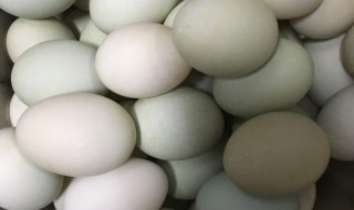 如何清洗鸭蛋 如何清洗鸭蛋最干净