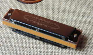 如何清洗口琴（如何清洗口琴音箱）