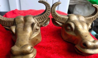 牛的寓意和象征（十二生肖牛的寓意和象征）