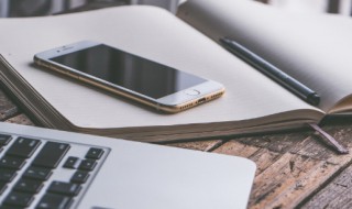 怎么查看手机型号（vivo怎么查看手机型号）