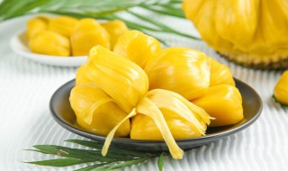 菠萝蜜要怎么存放老是容易坏（菠萝蜜容易坏,怎么保存）