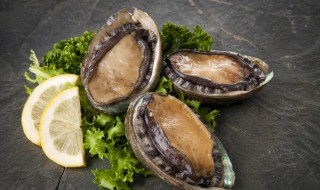 活的鲍鱼怎么存放冷冻（活的鲍鱼怎么存放冷冻好）