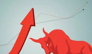 b股是什么意思啊（股票的a股b股是什么意思啊）