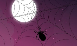 如何驱赶蜘蛛 如何驱赶蜘蛛蜈蚣