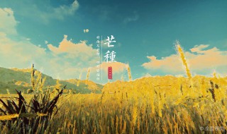 有关芒种的谚语和诗句（有关芒种的谚语和诗句大全）