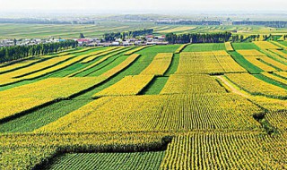 三江平原是哪三江 三江平原是哪三江地图