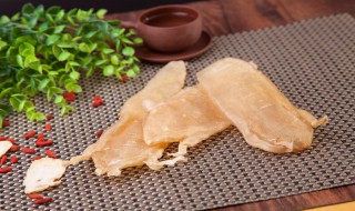 什么是鱼鳔（什么是鱼鳔胶）