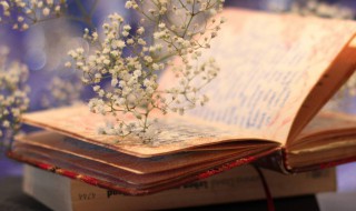 专项应付款是什么（专项应付款是什么科目）