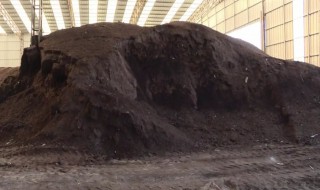 牛粪的用途与经济价值（牛粪的利用）