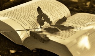 抽屉协议是什么意思（抽屉协议的法律效力）