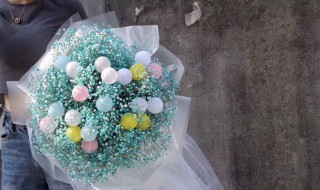 满天星花束多久枯萎 满天星花束多久枯萎了