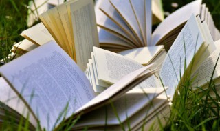 贸易顺差是什么（国际贸易顺差是什么）