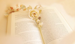 什么是恶意做空（恶意做空犯法吗）