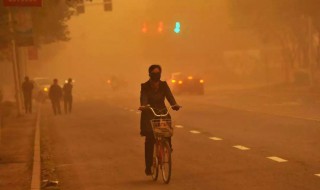 如何躲避沙尘暴 怎么躲沙尘暴