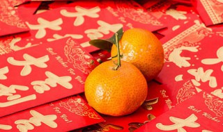年桔过完年后怎么处理（年后金桔怎么处理）