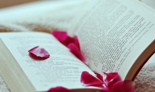 什么是红利再投资 什么是红利再投资基金