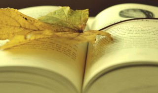 风险偏好是什么 风险偏好是什么意思