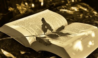 什么是被背书人 什么是被背书人的权利