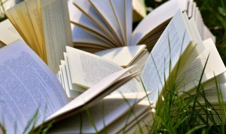 什么叫结算业务 什么叫结算业务员