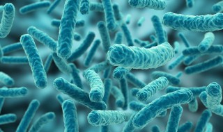 病毒的遗传物质是什么（新型冠状病毒的遗传物质是什么）