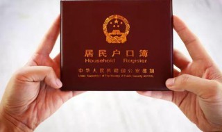 户籍一般填什么（户籍一般填什么图片）