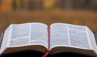 对方科目是什么（账簿中对方科目是什么）