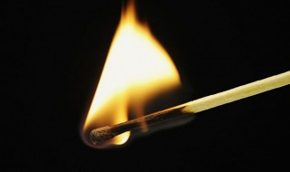 元素的化学性质由什么决定（元素的种类由什么决定）