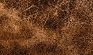 皮草是什么材质 皮草是什么材质做的