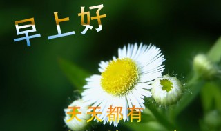 早上好的幽默句子有哪些 早上好的幽默句子有哪些呢