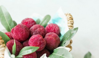 杨梅里的小白虫能吃吗（杨梅里的小白虫能吃吗孕妇）