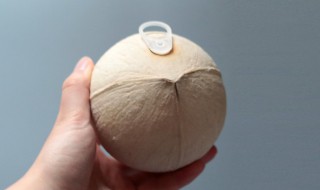 拉环椰子怎么打开窍门 拉环椰子怎么弄开