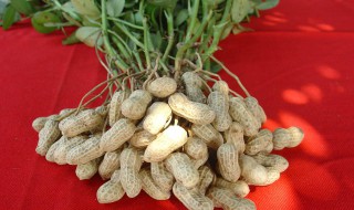 大量花生去壳小窍门 大量花生去壳小窍门是什么