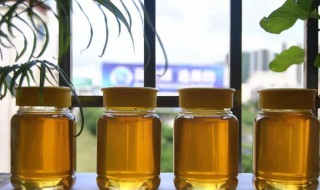 蜂蜜可以冷藏在冰箱吗（蜂蜜可以放在冰箱吗）