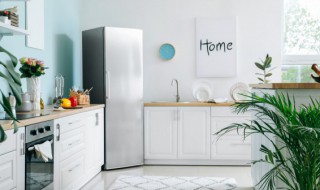 冰箱保护膜怎么撕干净小窍门（冰箱保护膜怎么撕干净小窍门视频）