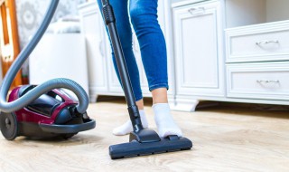 跳蚤怎么彻底消灭怎么去除跳蚤（如何彻底消灭跳蚤）