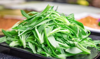 面条菜又叫什么名字（面条菜又叫什么名字来着）