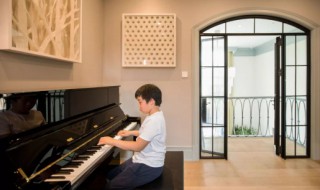 怎么让儿子成为钢琴大师 怎样培养孩子成为钢琴家