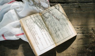 幼儿园六一美食文案 幼儿园六一美食文案朋友圈