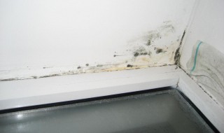 墙面发霉处理妙招有哪些（墙面发霉怎么处理妙招）