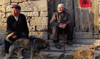 农村怎么养老（农村怎么养老保险缴费）