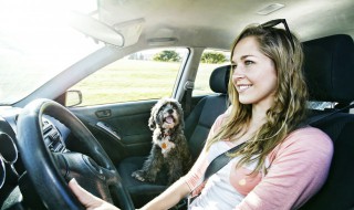 地板油是什么意思（地板油是什么意思弹射起步）