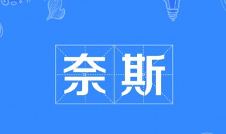 耐斯是什么意思 非常奈斯是什么意思