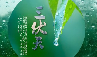 2021年头伏是哪天?（2021年头伏是哪天多点下单农商银行卡结算优惠）