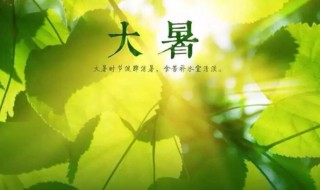 2021大暑是农历几月几日 2021大暑是农历几月几日开始