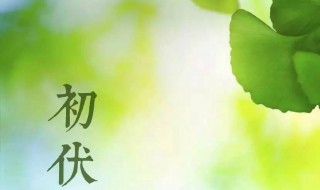 2021年初伏是哪一天 2021年初伏是哪一天几点几分